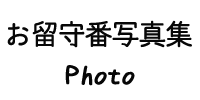 お留守番写真集
