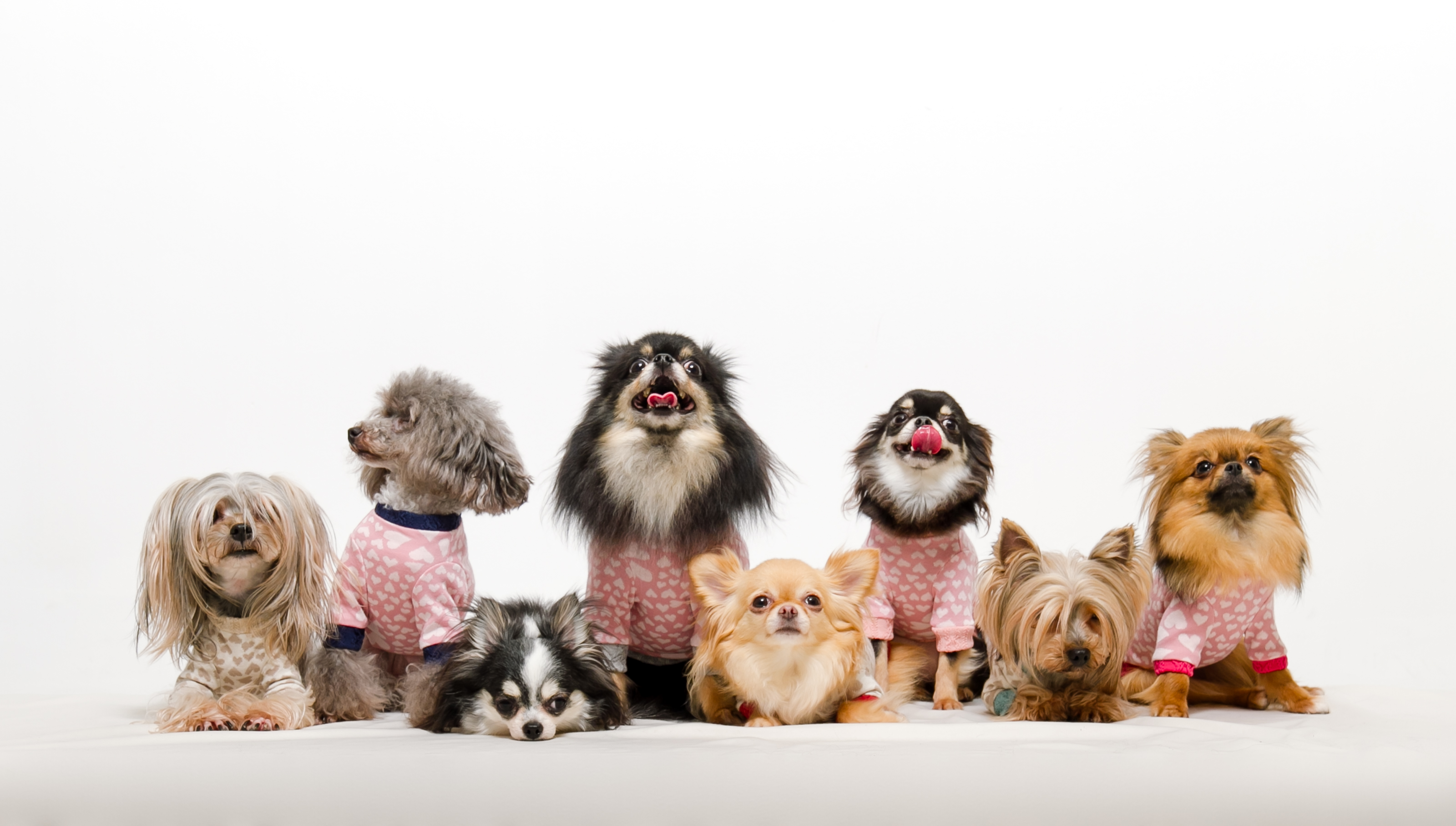 メインイメージ